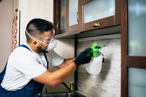 Best Cockroach Control Services  in Cedar Rapids, IA