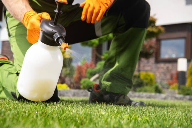 Best Insect Control  in Cedar Rapids, IA