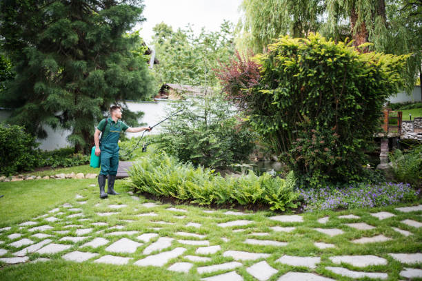 Best Exterminator Services  in Cedar Rapids, IA
