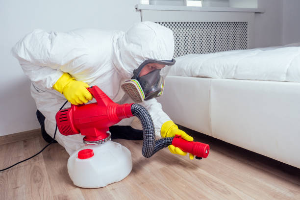 Best Residential Pest Control  in Cedar Rapids, IA