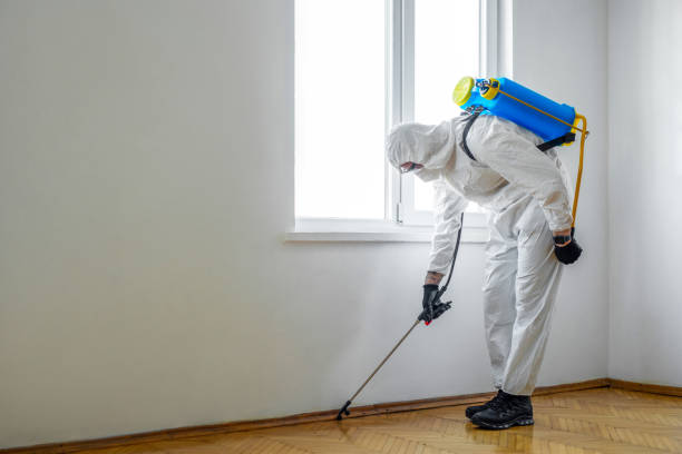 Best Pest Removal Services  in Cedar Rapids, IA