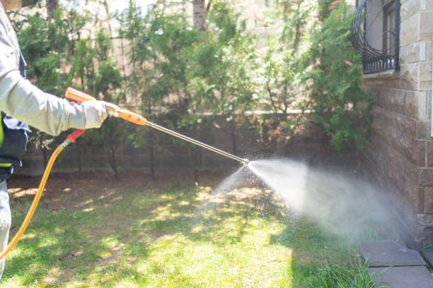 Best Residential Pest Control  in Cedar Rapids, IA