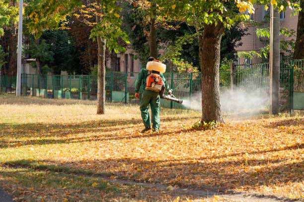 Best Rodent Control Near Me  in Cedar Rapids, IA