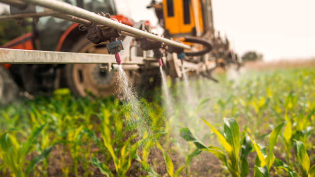 Best Best Pest Control Companies  in Cedar Rapids, IA